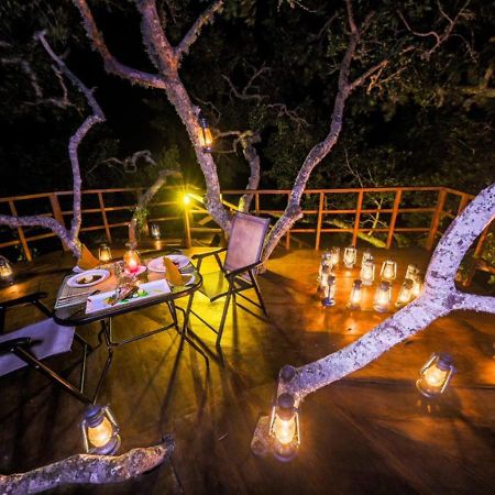 Tribe Yala - Luxury Camping Экстерьер фото