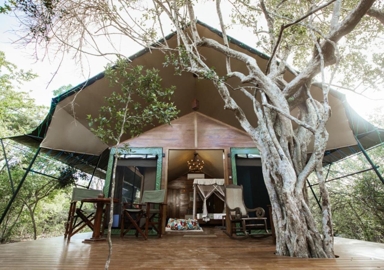 Tribe Yala - Luxury Camping Экстерьер фото