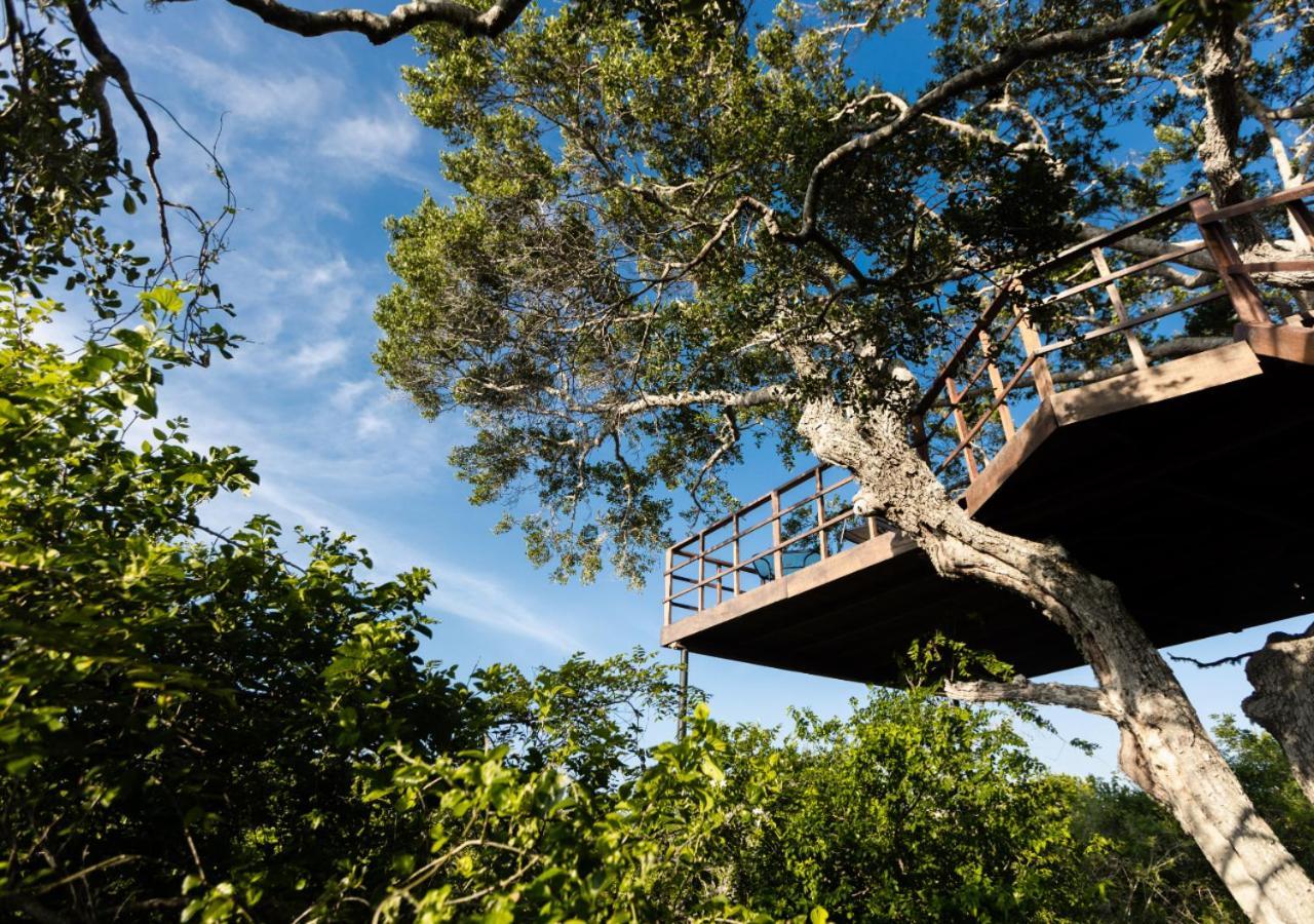 Tribe Yala - Luxury Camping Экстерьер фото