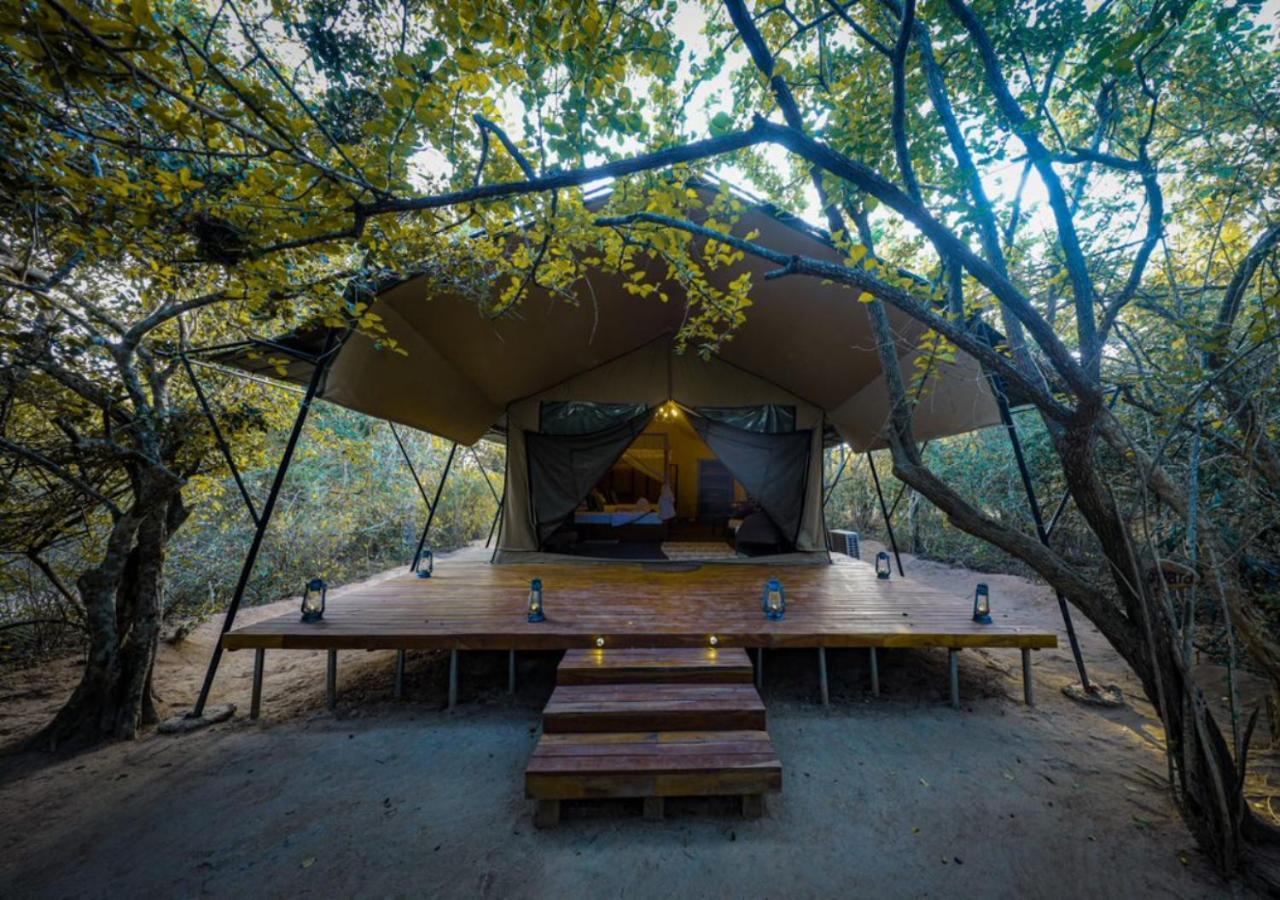 Tribe Yala - Luxury Camping Экстерьер фото